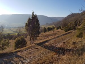 Eindrücke einer Tour am Albtrauf